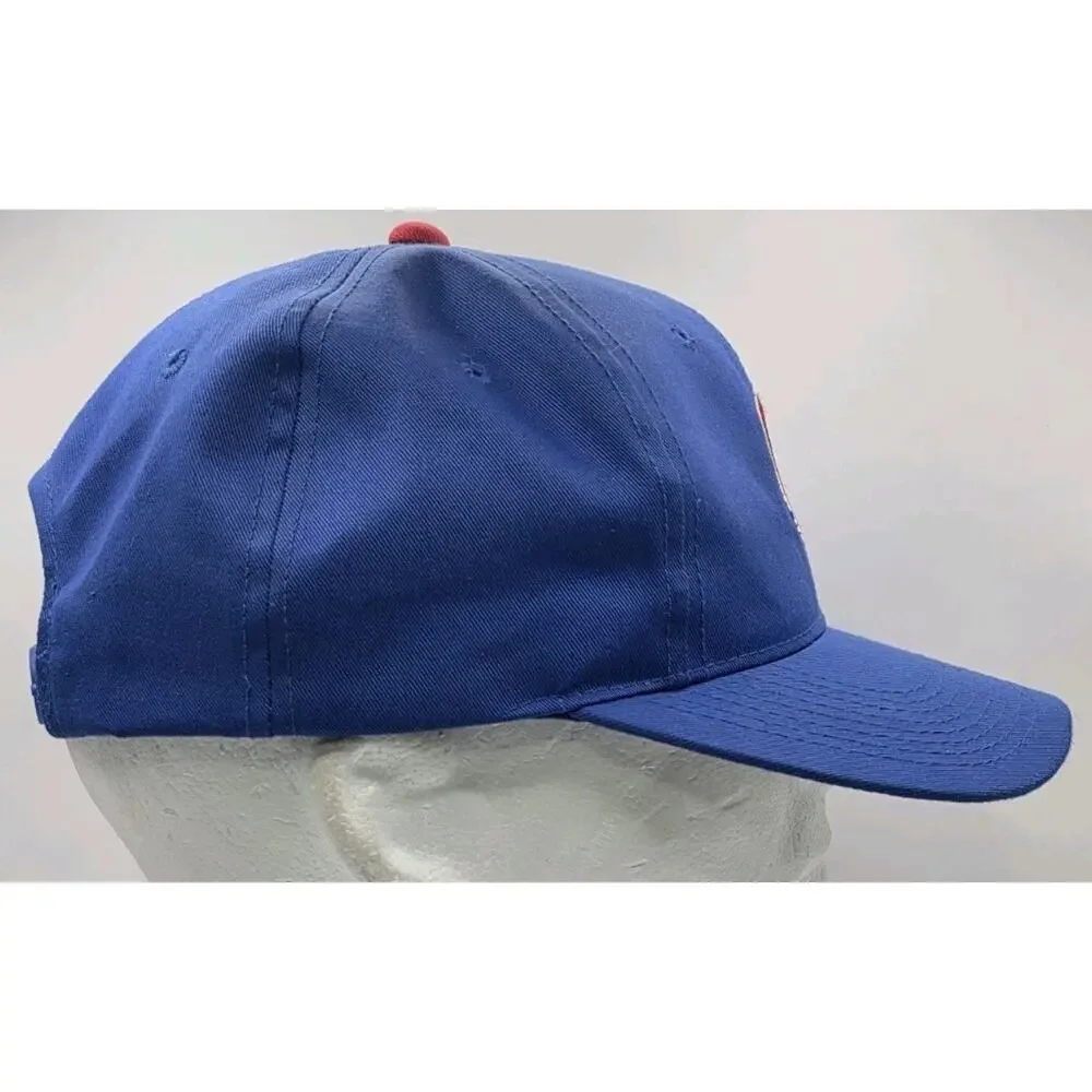 Vintage Genuine Chicago Cubs Baseball Snapback Hat Cap MLB Blue Signatures Brand